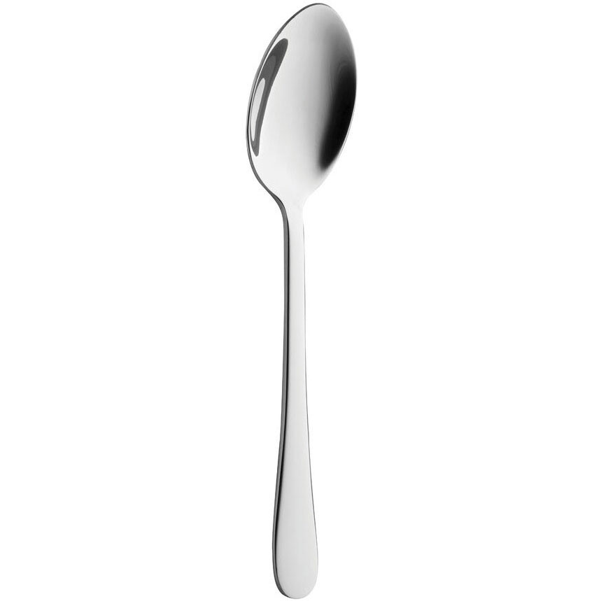 Gourmet Dessert Spoon