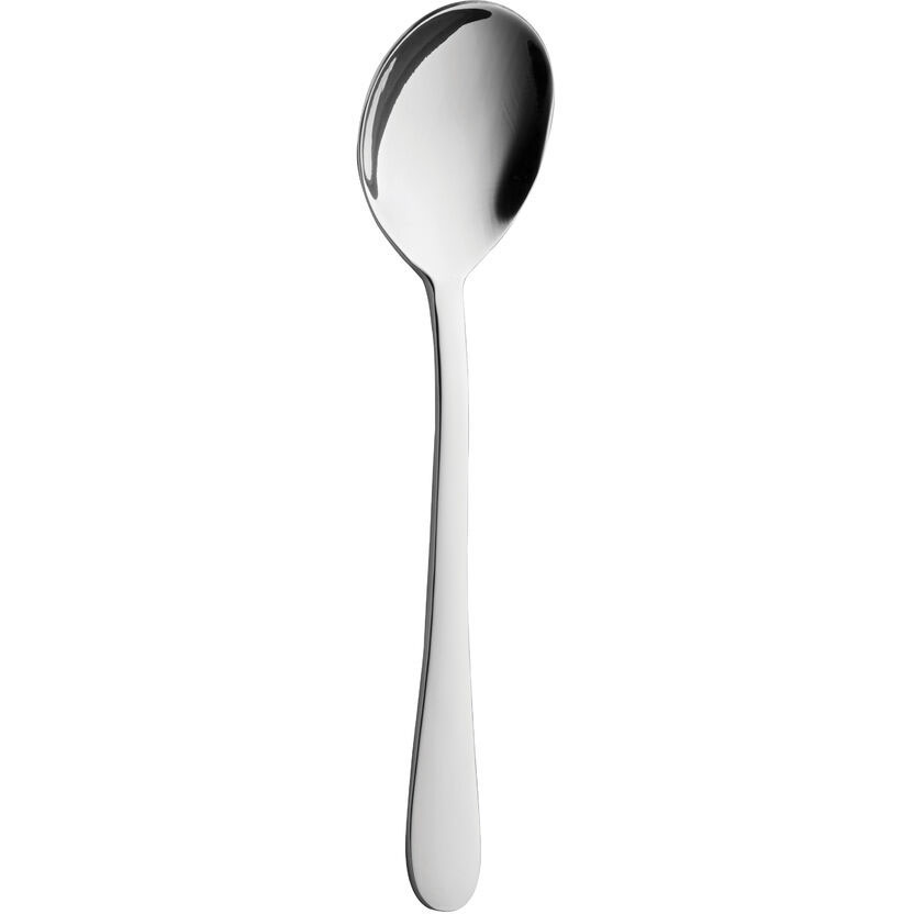 Gourmet Soup Spoon